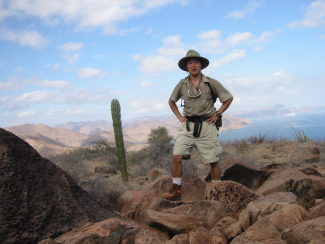 Volcano Mountain
