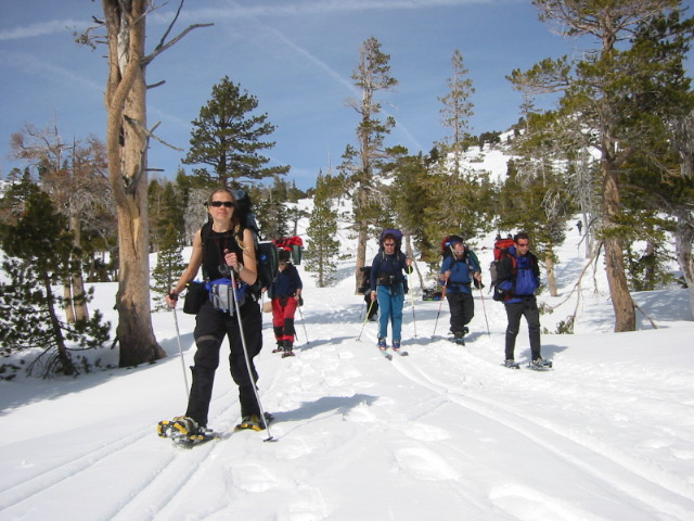 On the trail