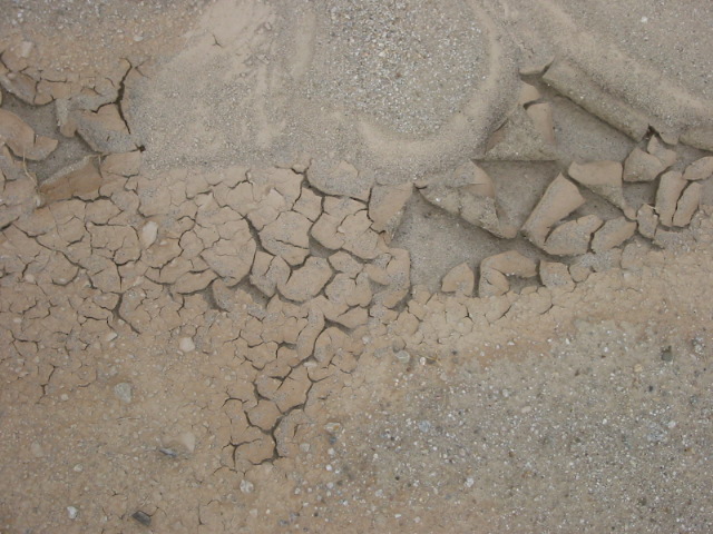1st Trench