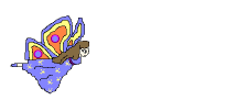 butterfly2