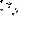 fallingleaf