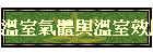 �ūǮ���P�ūǮ���