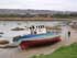 Web-Shite Boat 1