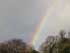 Web-Shite Rainbow