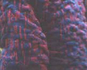 Knitwear pages