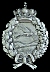 Pilots Badge