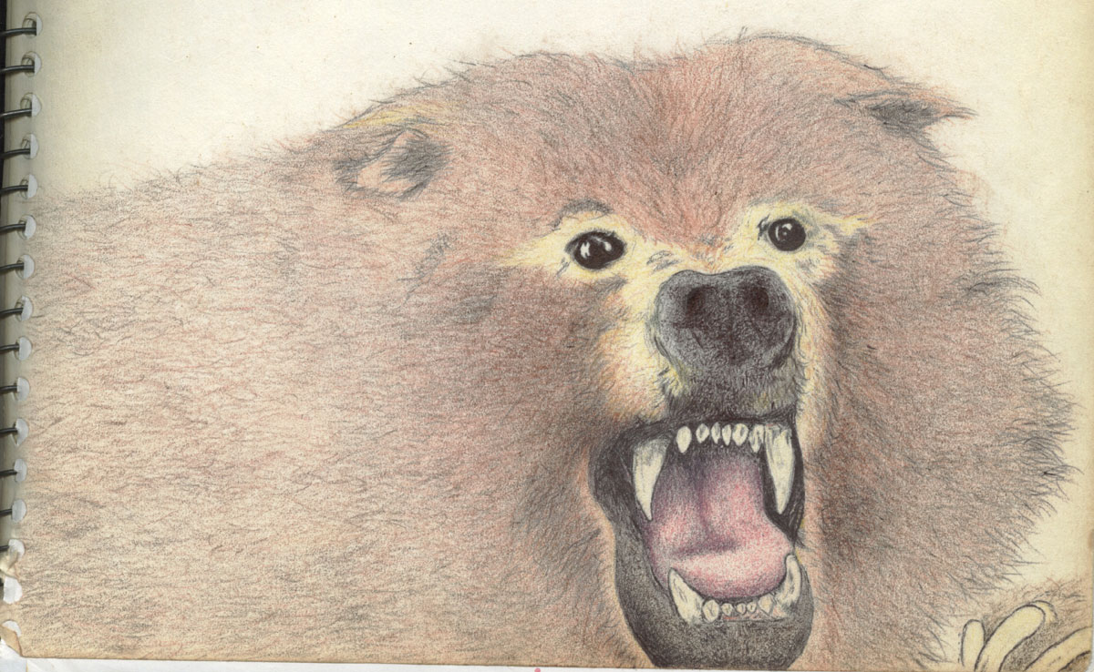The picture's coming, grin & bear it