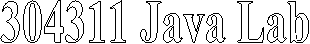 304311 Java Lab