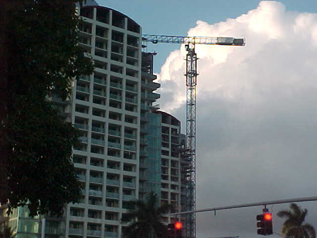 Coconut Grove