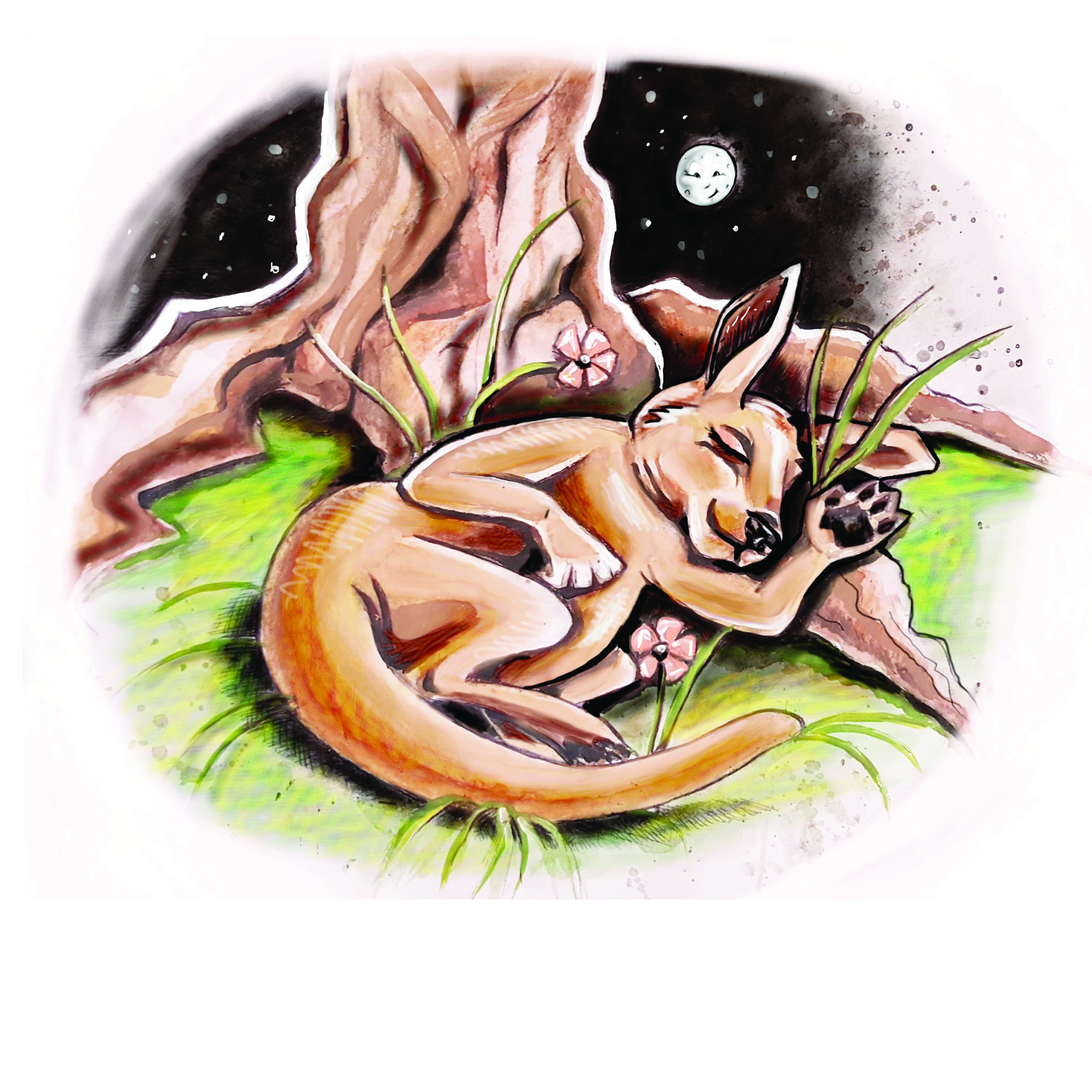Book Illustration