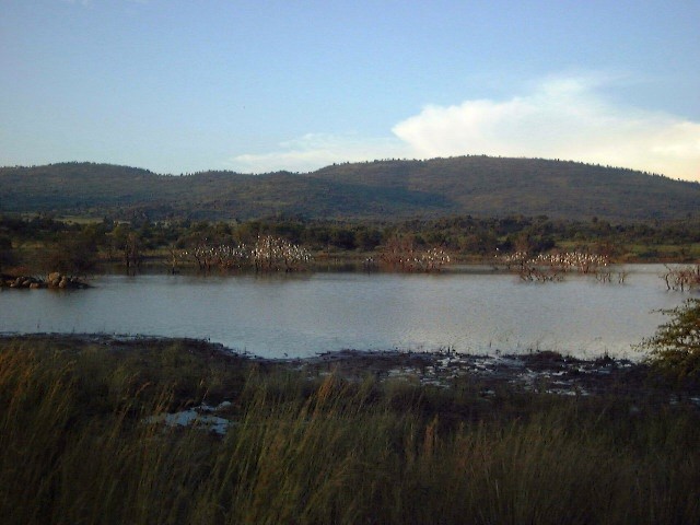 Lake Placid !!