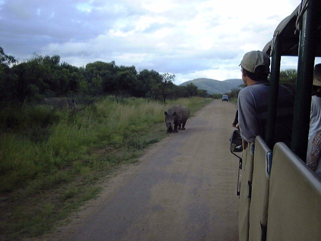 Rhino Loose!!