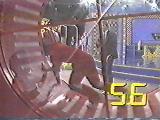 The 1-Ton Human Hamster Wheel