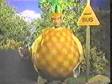 Marc as a pineapple