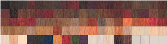 colour swatch