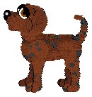 Choco, male, dali, great colors