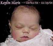 Click here to visit Kaylin's site