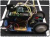The Robot