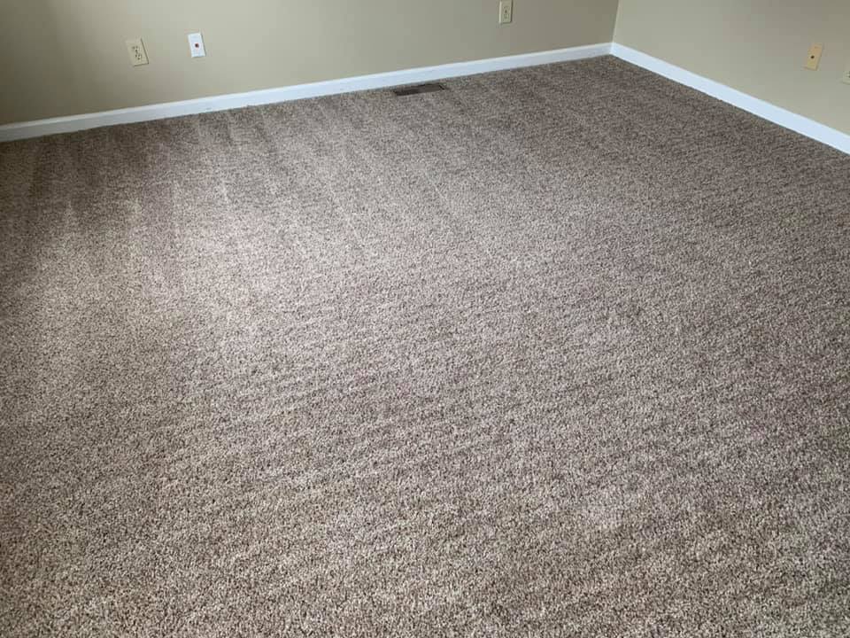 clean carpet