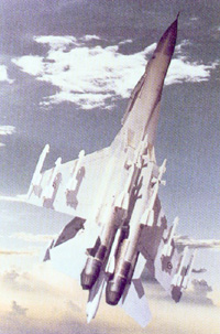 IAF Sukhoi MKI