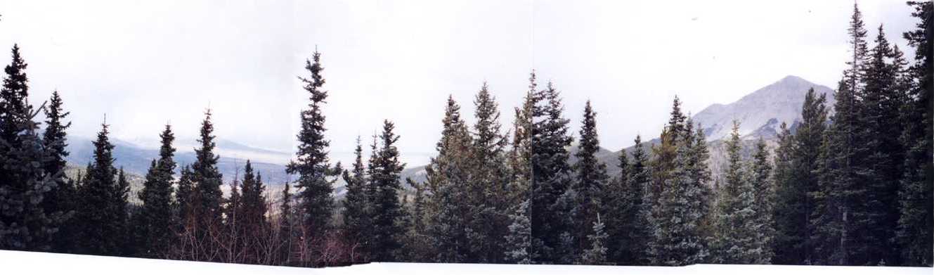 Cordova Pass