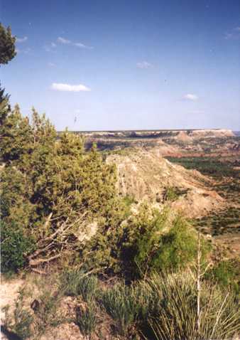 Palo Duro Canyon View
