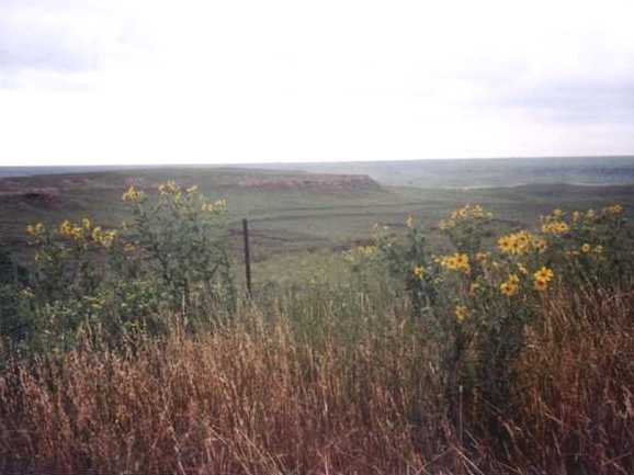 Panhandle of Teaxs