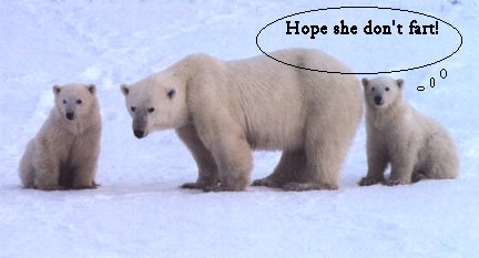 Polar Poot!