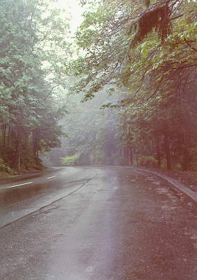 Stanley Park