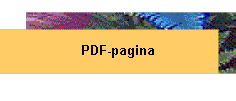 pdfpagina.gif (4090 bytes)