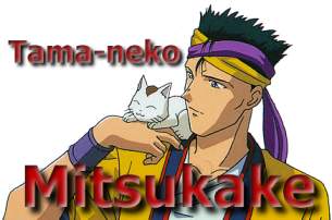 Mitsukake