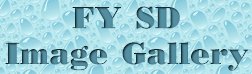 FY Super-Deformed Gallery