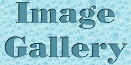 Image Gallery