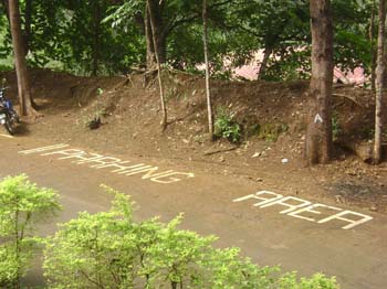 DSC09102