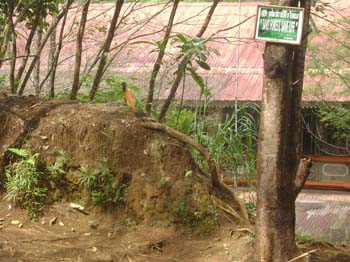 DSC09106