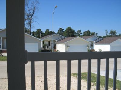 View From The Porch