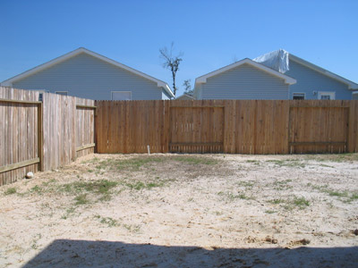 View of the back garden