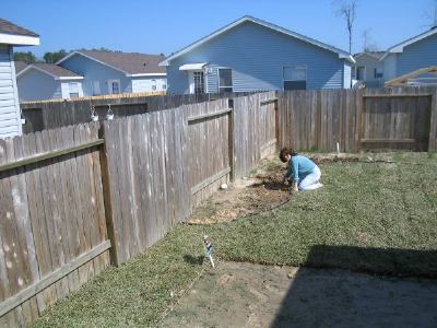 Edging the lawn