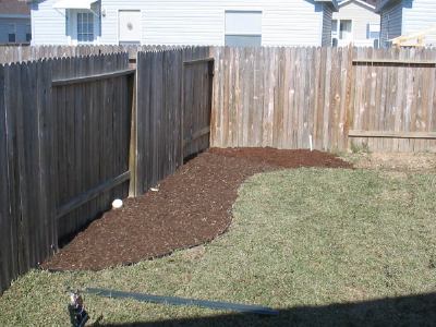 Starting to look like a garden