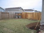 View across the lawn 2