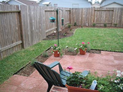 The garden begins to green up for spring