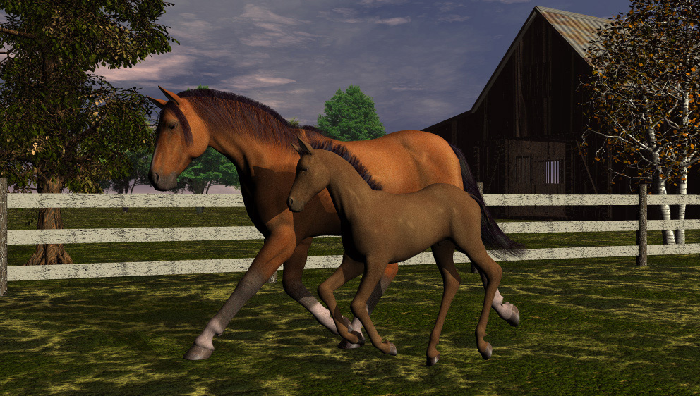 Springtime at Winds of Heaven Farm