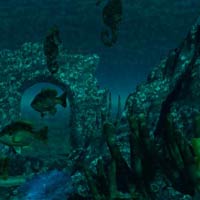 Under The Sea