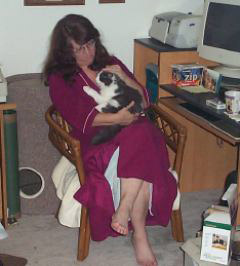 Chloe the lap cat