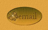 Send me an Email