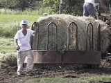 Mark feeds the cattle with rich alfalfa.