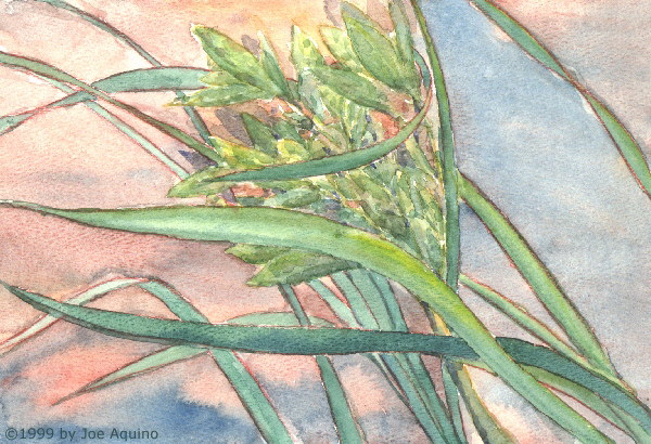 Branch In Wind