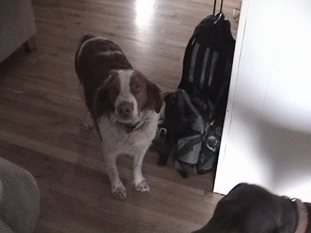 Copper