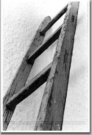 Ladder