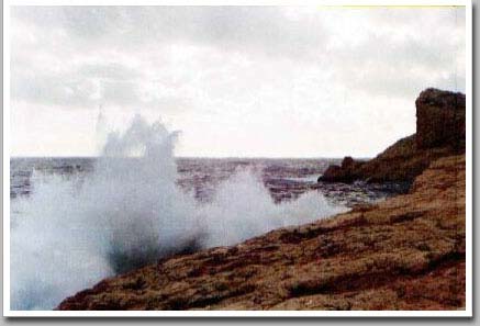 Splash